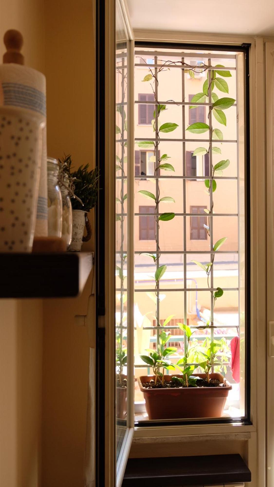 New! Station “termini” Loft Apartment