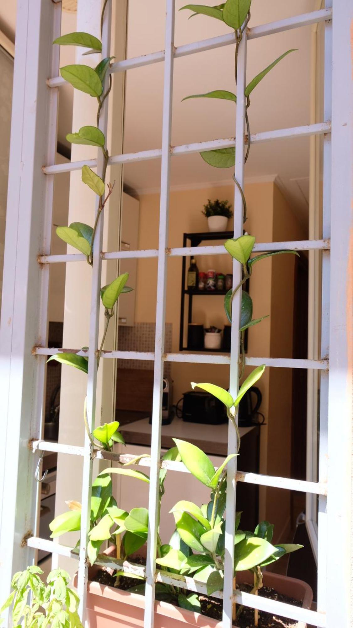 New! Station “termini” Loft * Rom
